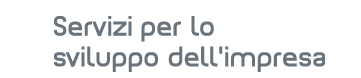 Servizi per lo sviluppo dell'impresa